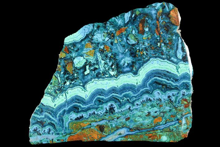 Polished Chrysocolla & Malachite Slab - Bagdad Mine, Arizona #92628